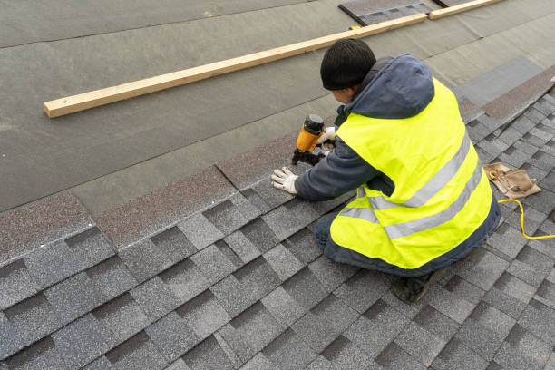 Roof Gutter Cleaning in Crafton, PA